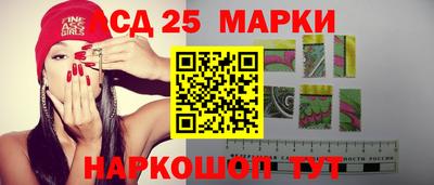 сатива Кандалакша