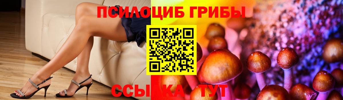 Казань  Галлюциногенные грибы прущие грибы  Вход с VPN 